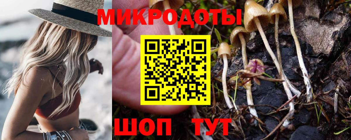 Галлюциногенные грибы MAGIC MUSHROOMS Камышлов