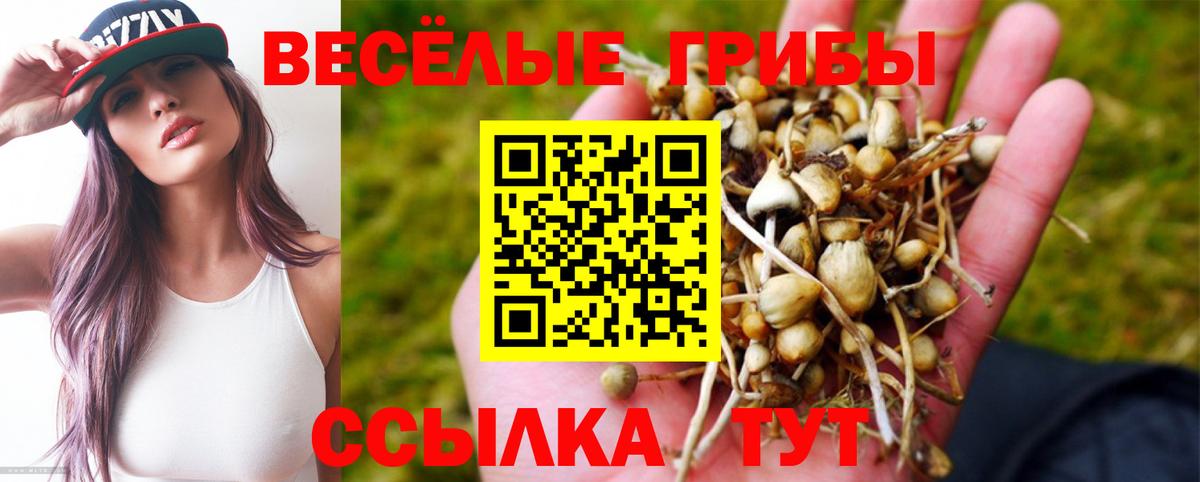 Псилоцибиновые грибы MAGIC MUSHROOMS  Вход с VPN  Камышлов 