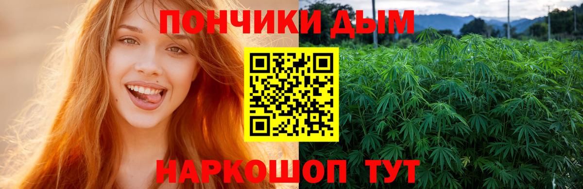 Камышлов  Конопля Ganja  МАРИХУАНА Amnesia  Вход с VPN 